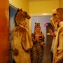 Ett bra sätt att varva ned är att ha djurfest. Jag är tigern. Foto: Malin Backman