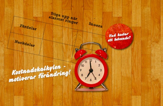 Kostnadskalkylen